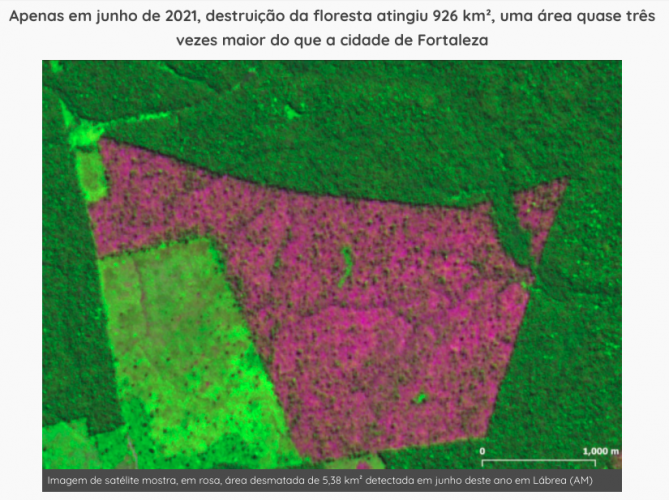 Imazon aponta aumento no desmatamento na Amazônia