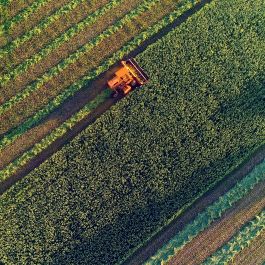 Valor Econômico: UK companies will stop buying soy from areas deforested after January 2020 by 2025